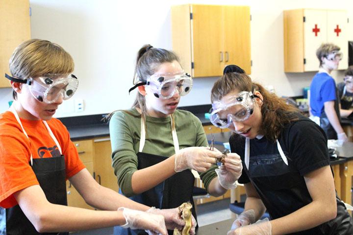 Biology students dissect rats in December