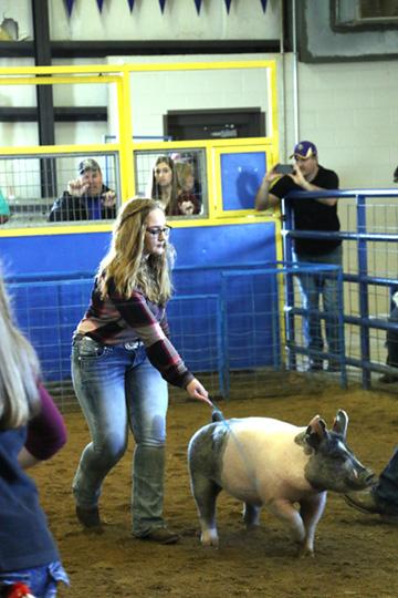 Students win in FFA competition