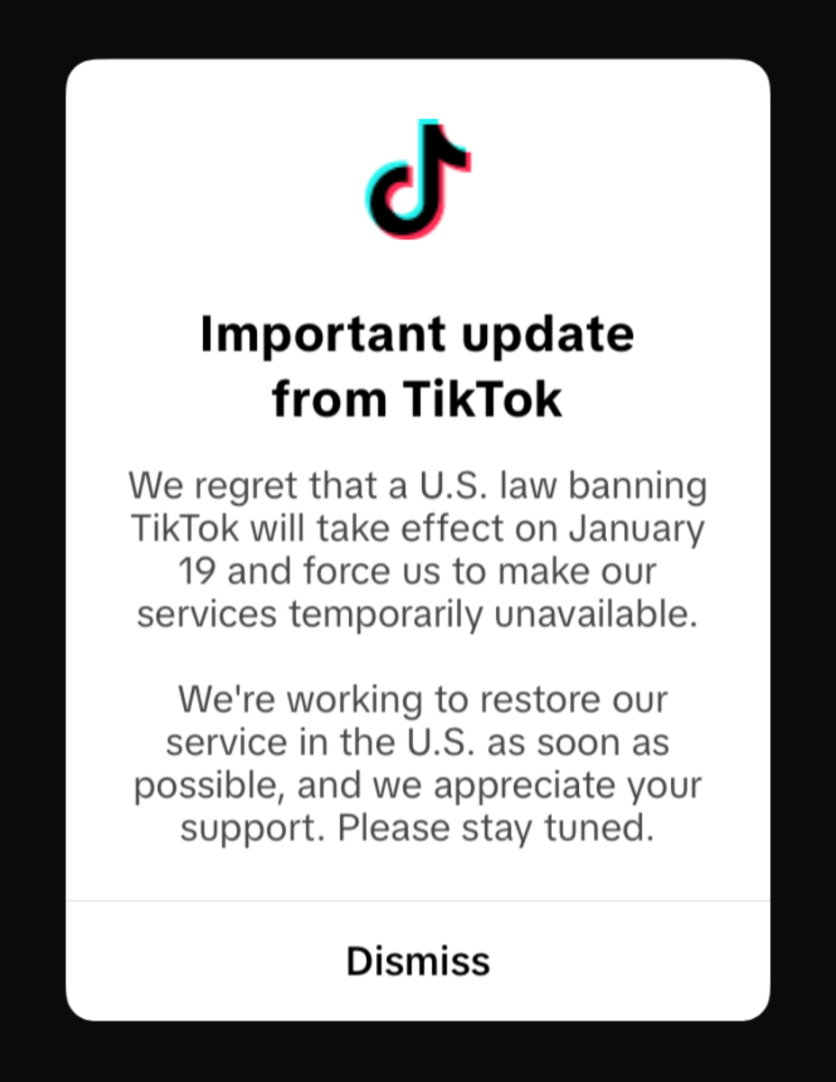 TikTok Goes Dark