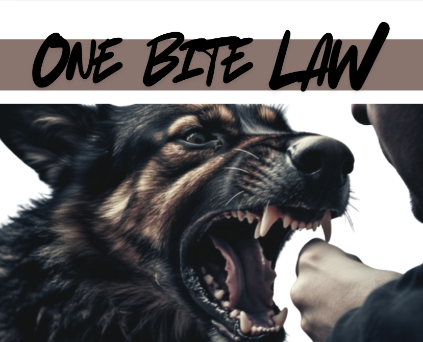 After being attacked by a loose German Shepard in her neighborhood, Kharishma Prabhu argues for an overhaul of Texas' One Bite Law. Graphic created by Kharishma Prabhu in Canva